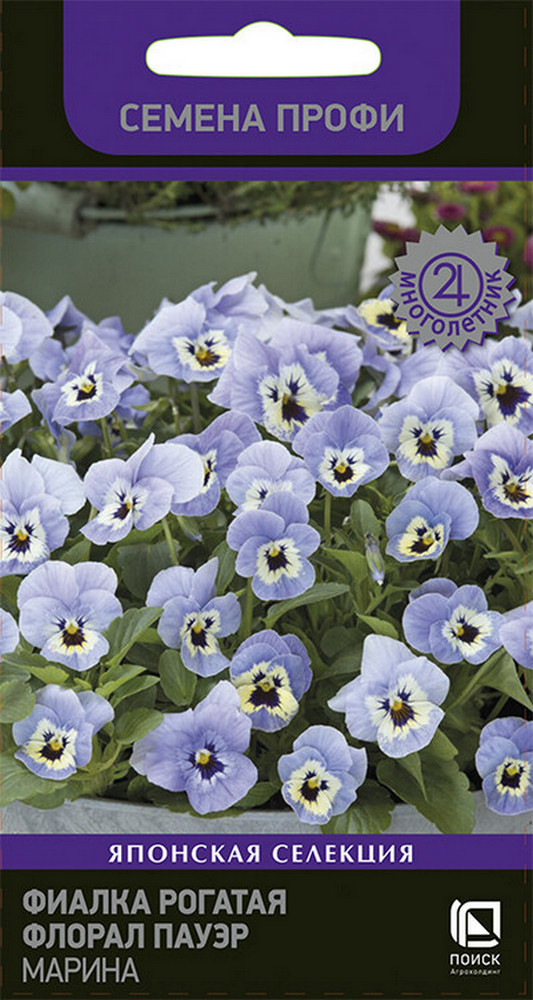 Фиалка рогатая Флорал Пауэр Марина, 10 шт.