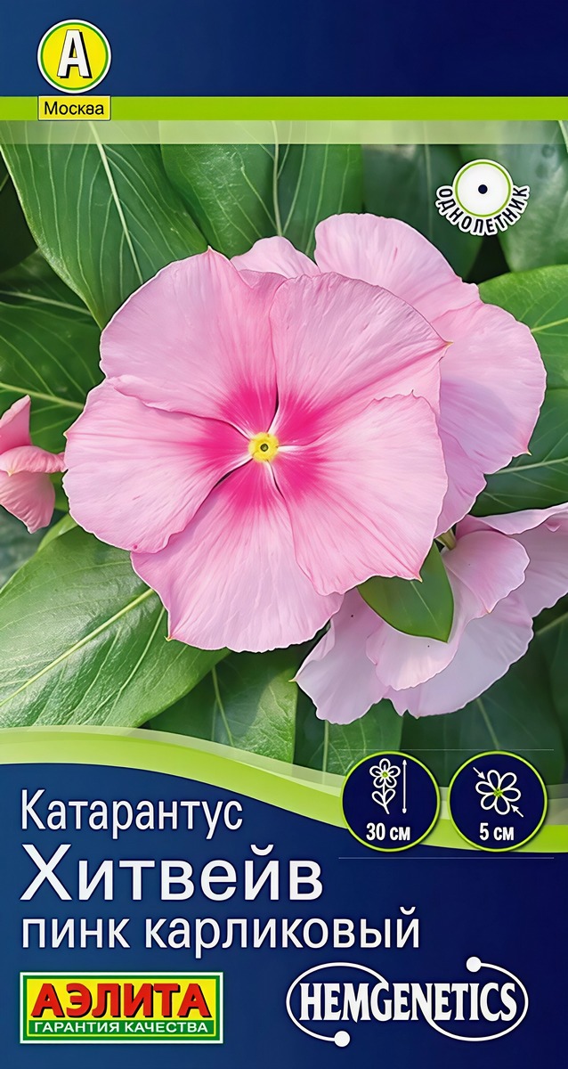 Катарантус Хитвейв пинк карликовый, 5 шт.