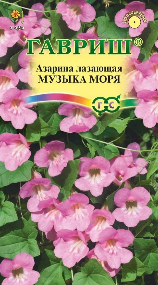 Азарина Музыка моря, 5 шт. 