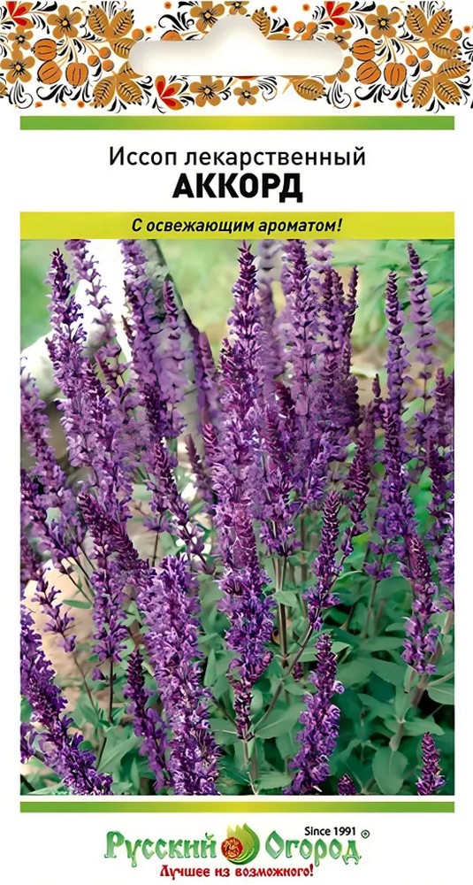 Иссоп лекарственный Аккорд, 0,5 г. Русский огород Русский огород