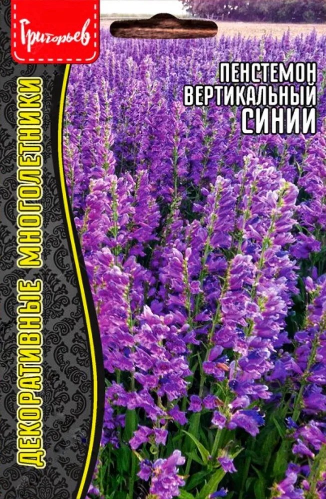 Пенстемон вертикаль Penstemon strictus (blue), 0,1г