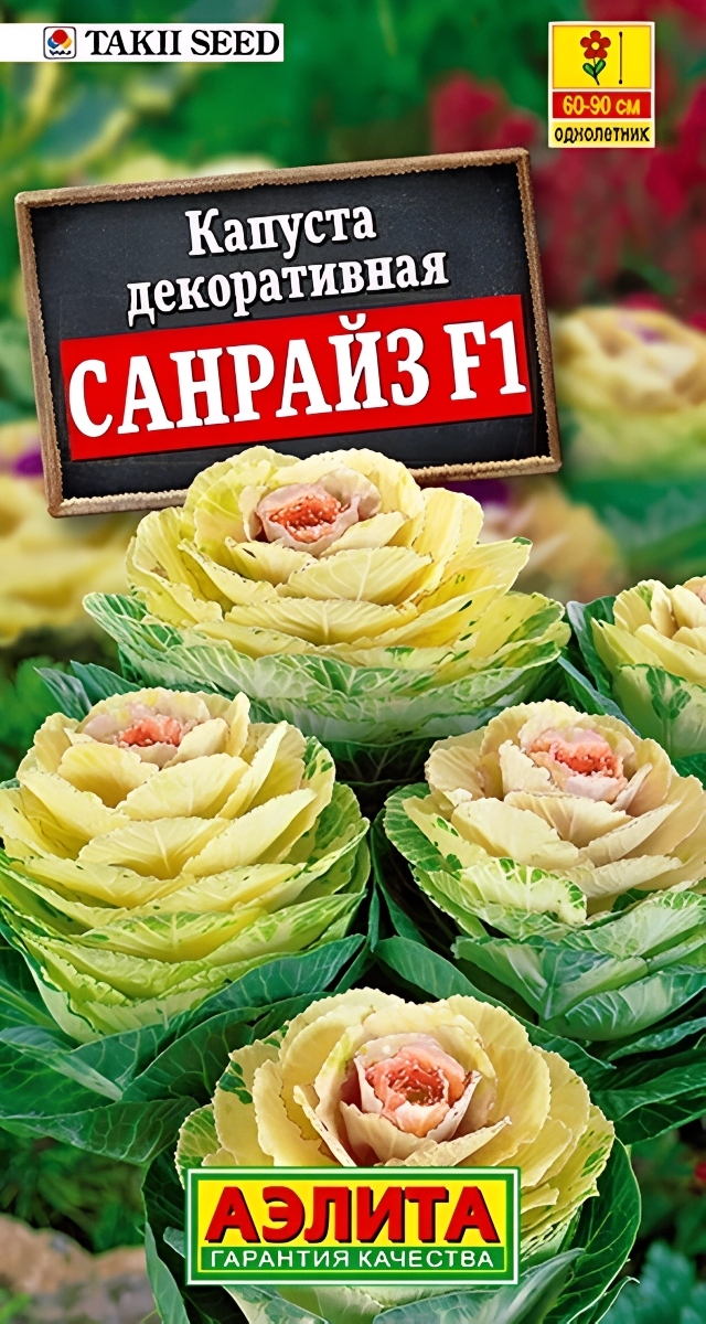 Капуста декоративная Санрайз F1, 6 шт.