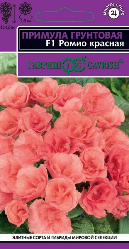 Примула Ромио красная F1 махровая, 3 шт. 