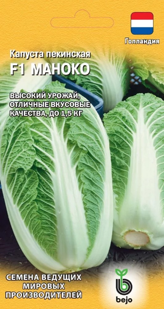 Капуста пекинская Маноко F1, 10 шт. Голландия.