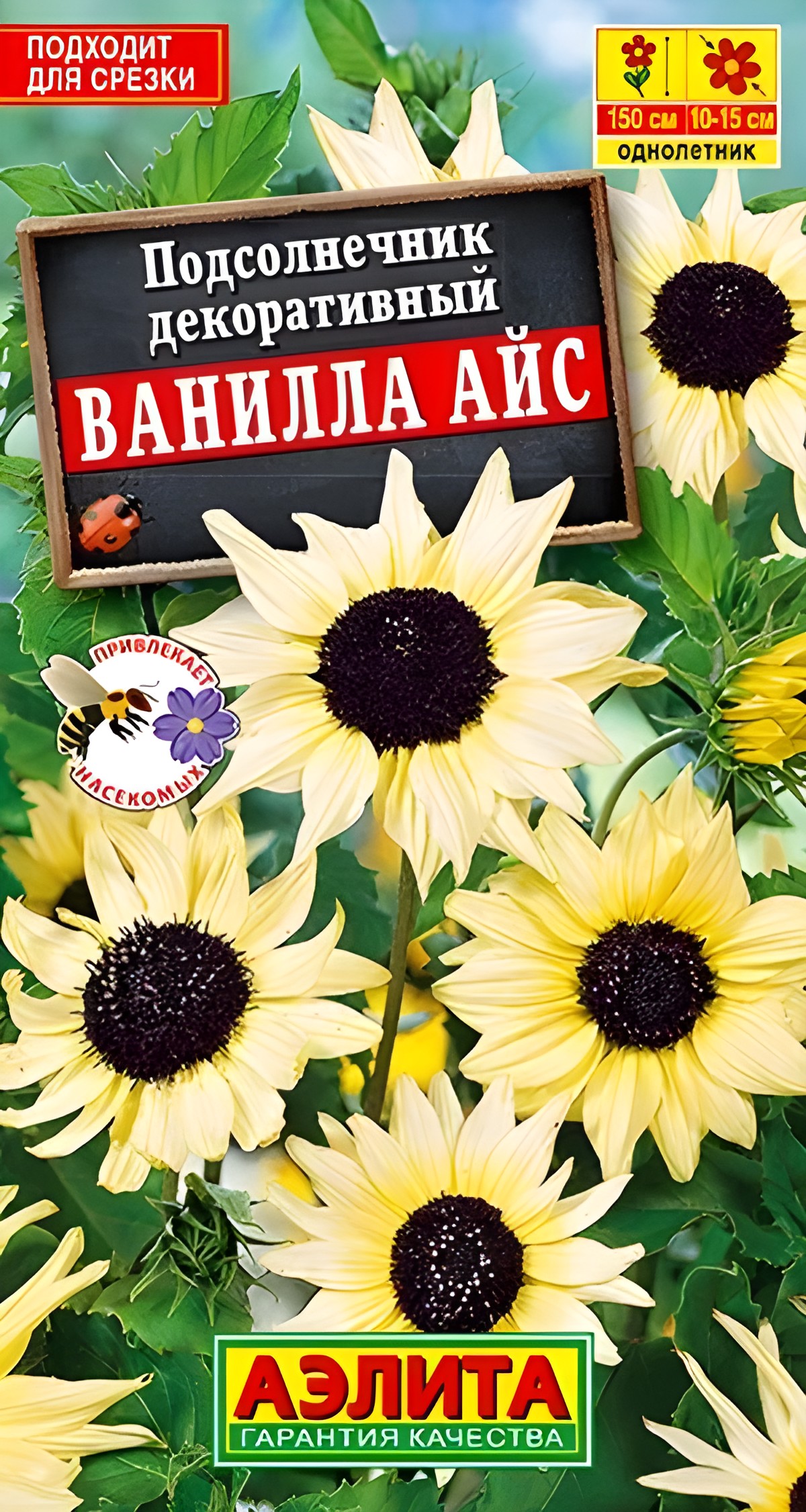 Подсолнечник декоративный Ванилла айс, 0,1 г