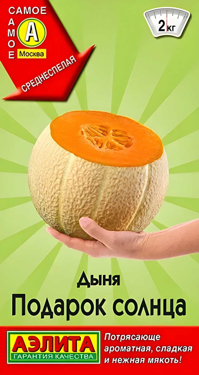 Дыня Подарок солнца, 1 г 