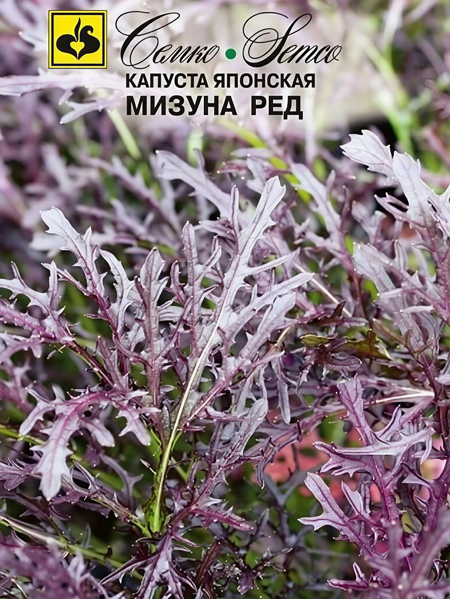 Капуста японская Мизуна Ред, 0,5 г