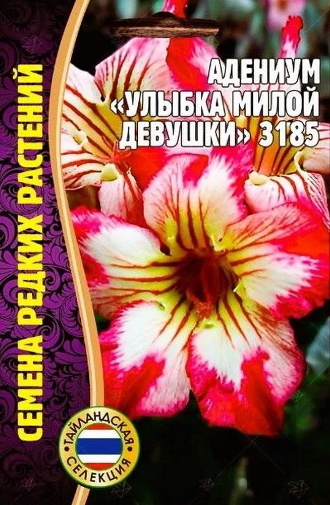 Адениум Улыбка Милой Девушки 3185,  3 шт.