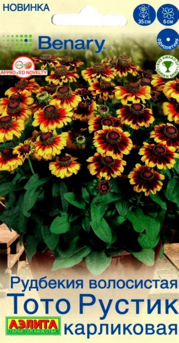 Рудбекия Тото Рустик карликовая, 7 шт.