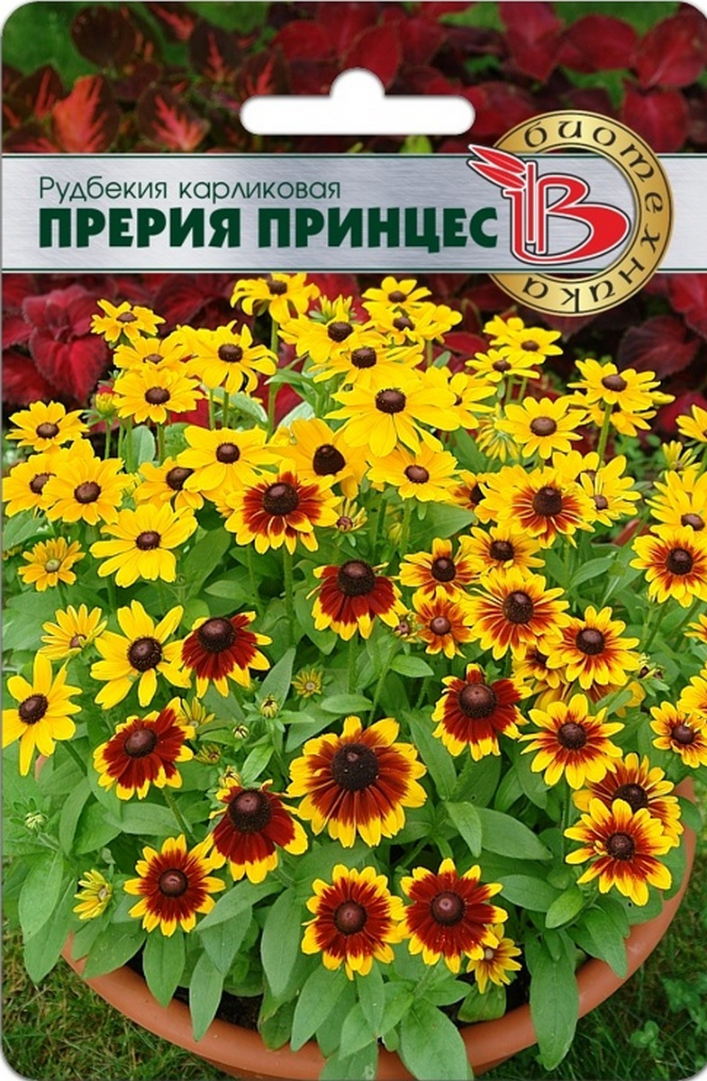Рудбекия карликовая Прерия Принцес,10 шт. Биотехника