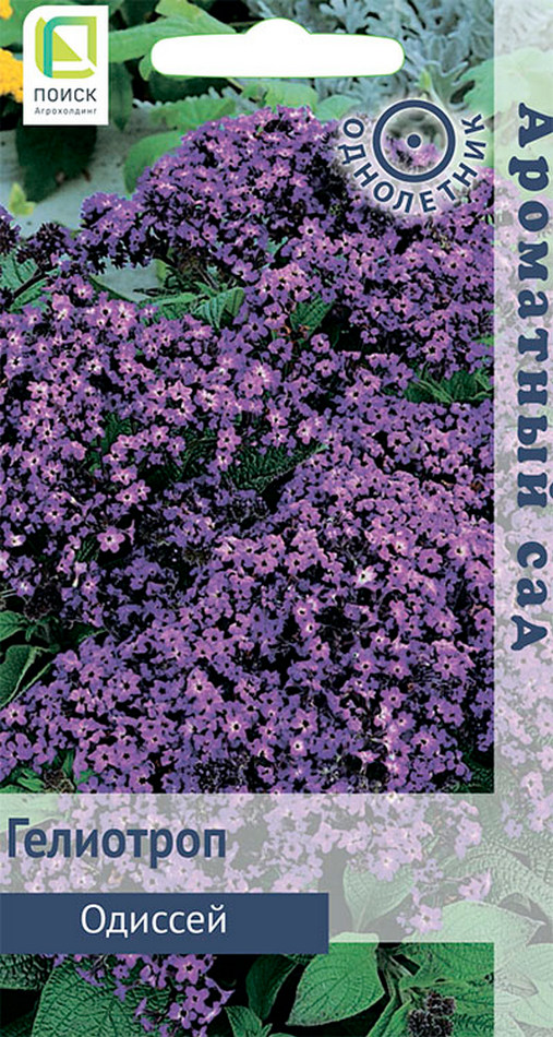 Гелиотроп Одиссей, 0,03 г Ароматный сад