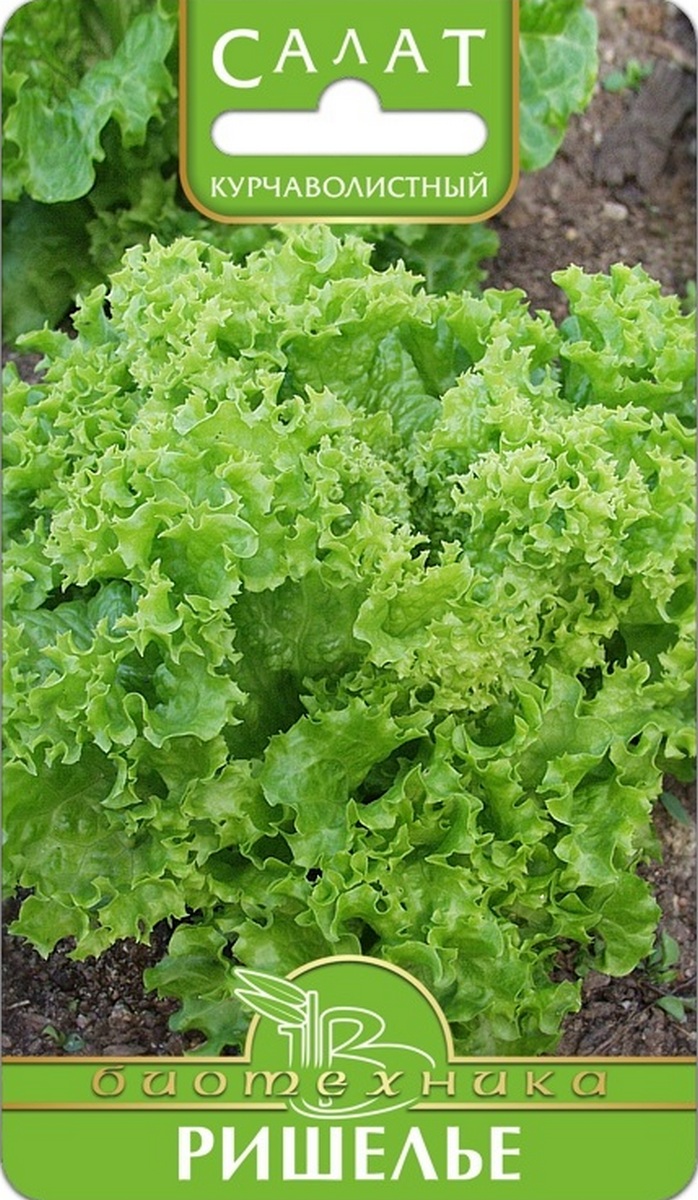 Салат курчаволистный Ришелье, 0,3 г Биотехника