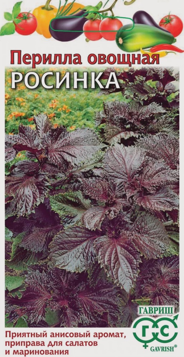 Перилла овощная Росинка, 0,2 г. Гавриш.