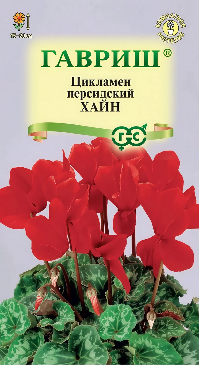 Цикламен персидский Хайн, 3 шт.