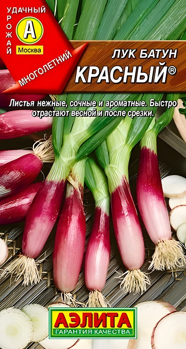 Лук батун Красный, 0,3 г