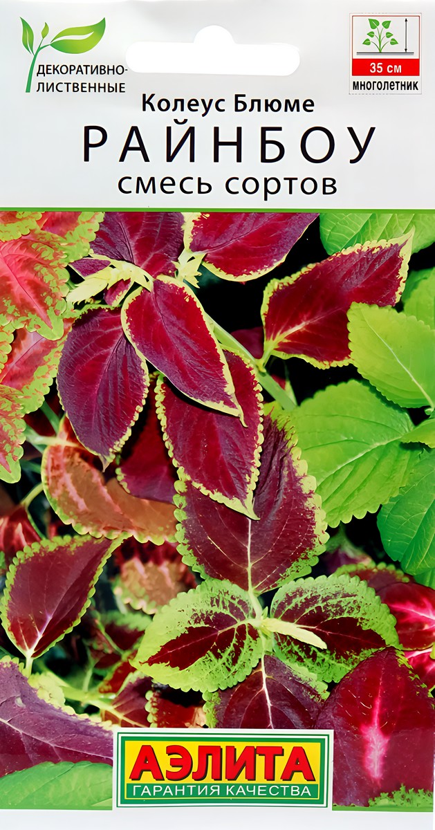 Колеус блюме Райнбоу, смесь сортов, 0,05 г