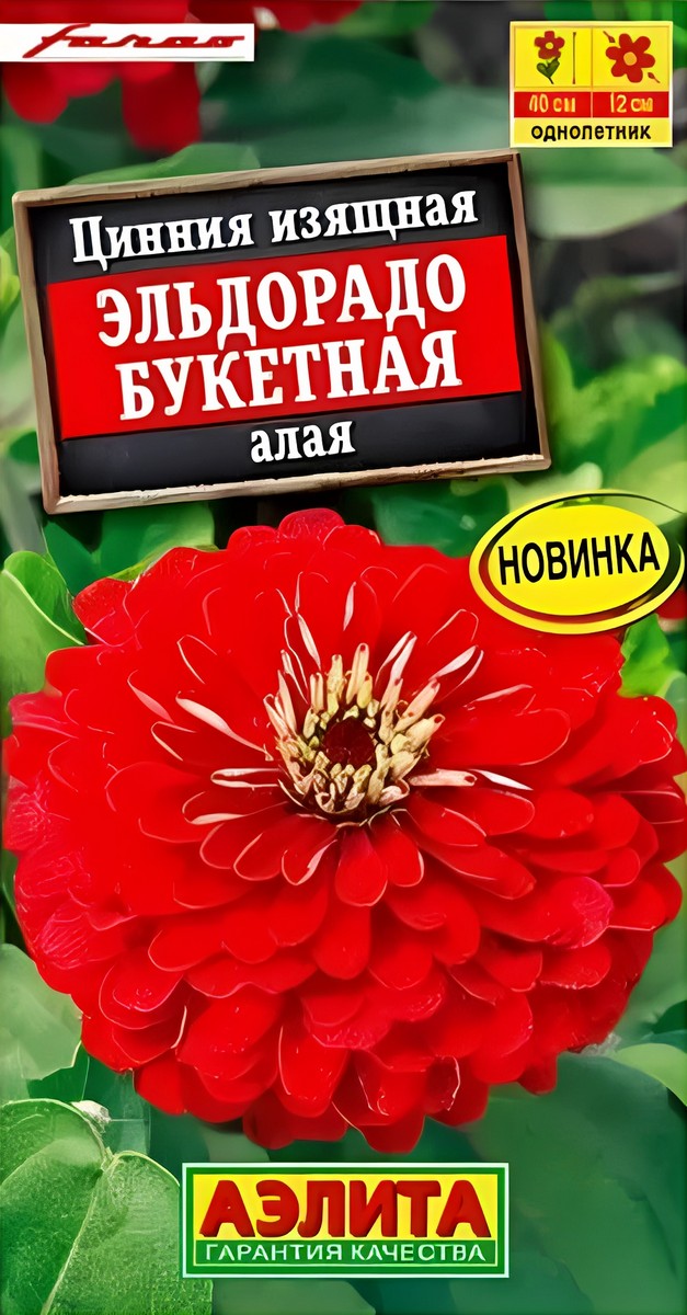Цинния Эльдорадо букетная алая, 12 шт.
