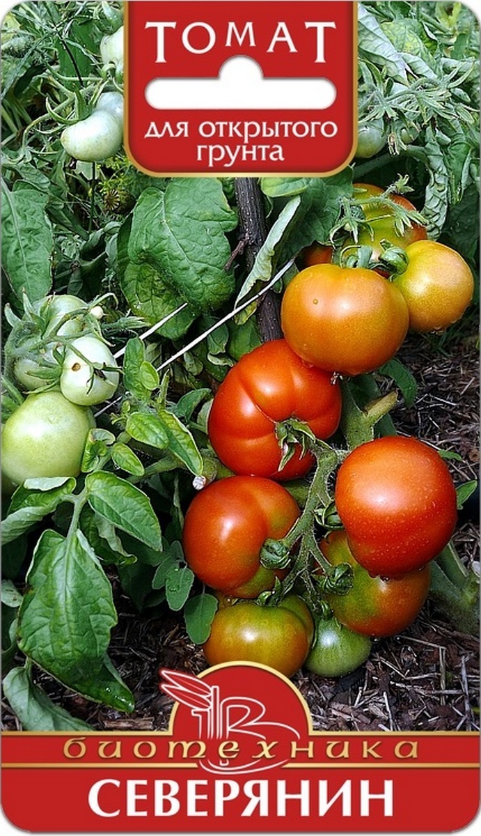 Томат Северянин, 20 шт. Биотехника