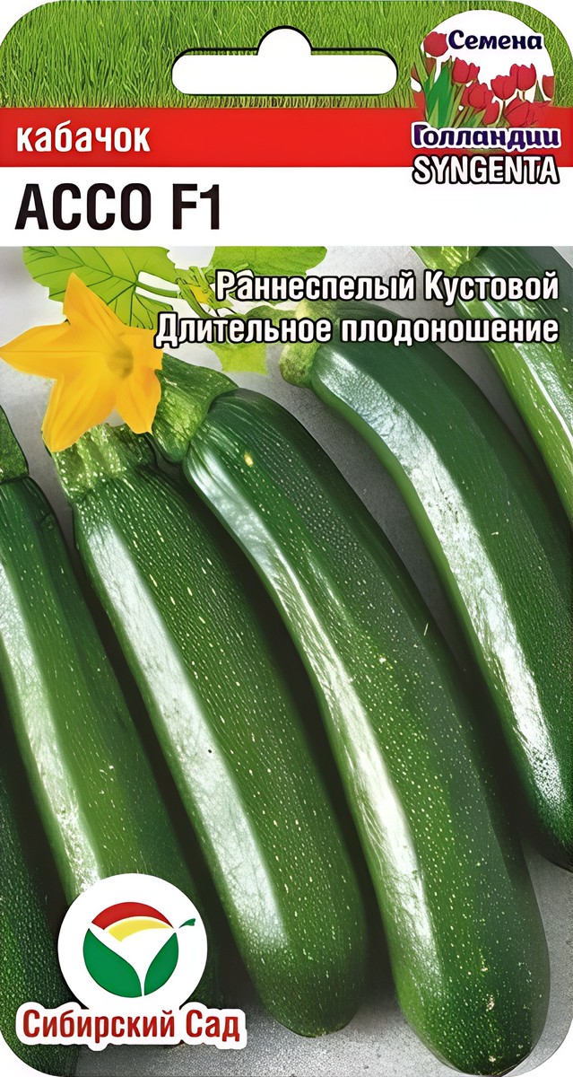 Кабачок Ассо F1, 3 шт. Семена Голандии. Сибирский сад.