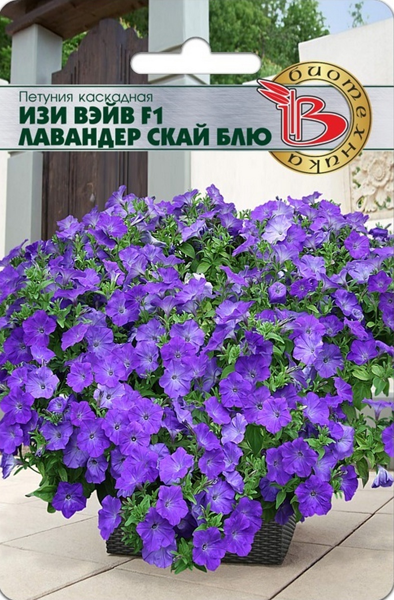 Петуния каскадная Изи Вейв F1 Лавандер Скай Блю, 5 шт.