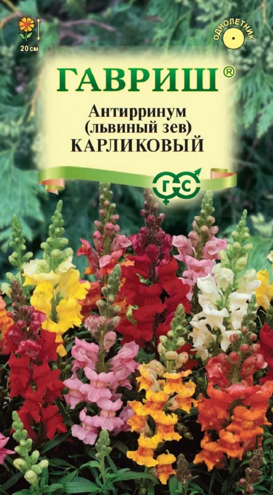 Львиный зев карликовый, смесь, 0,1 г