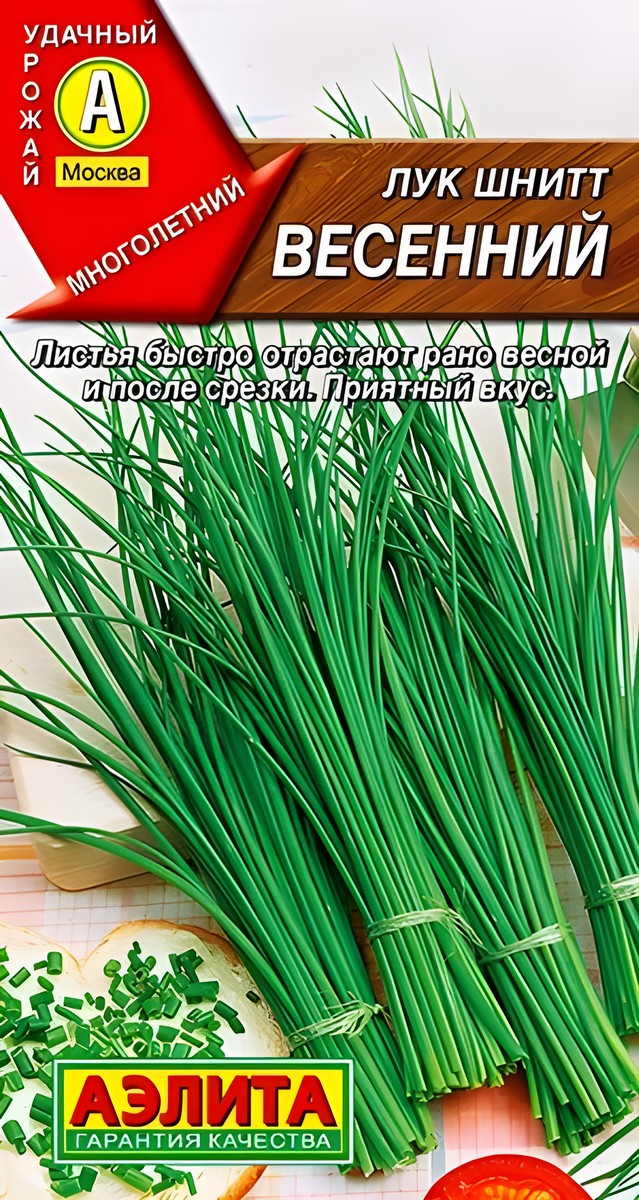 Лук шнитт Весенний, 0,5 г