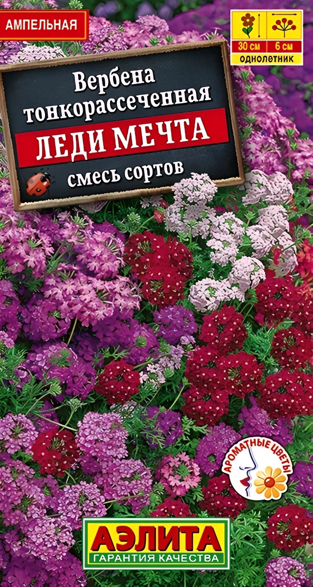Вербена Леди мечта, смесь сортов, 0,03 г