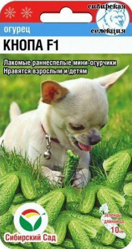 Огурец Кнопа F1, 7 шт. Сибирский сад
