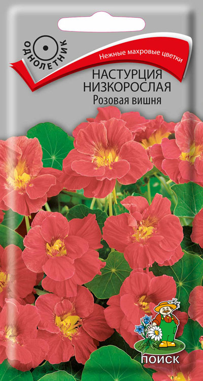 Настурция низкорослая Розовая вишня, 1 г