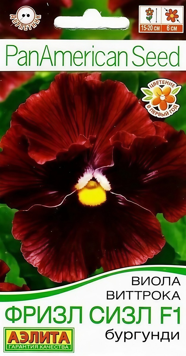 Виола Фризл Сизл F1 бургунди гофрированная, 5 шт.