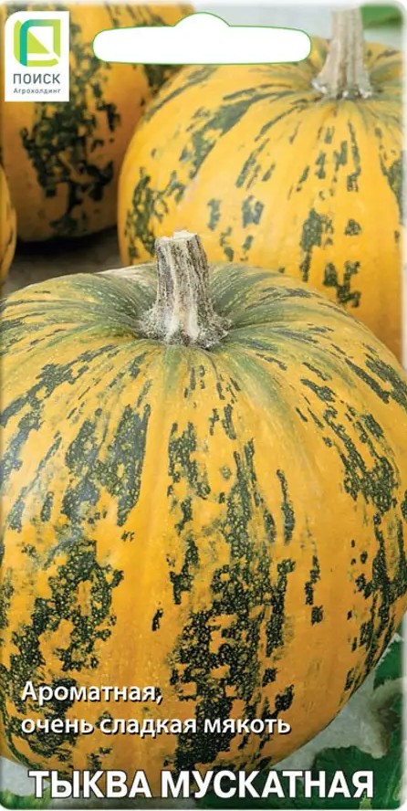 Тыква Мускатная, 10 шт. Поиск