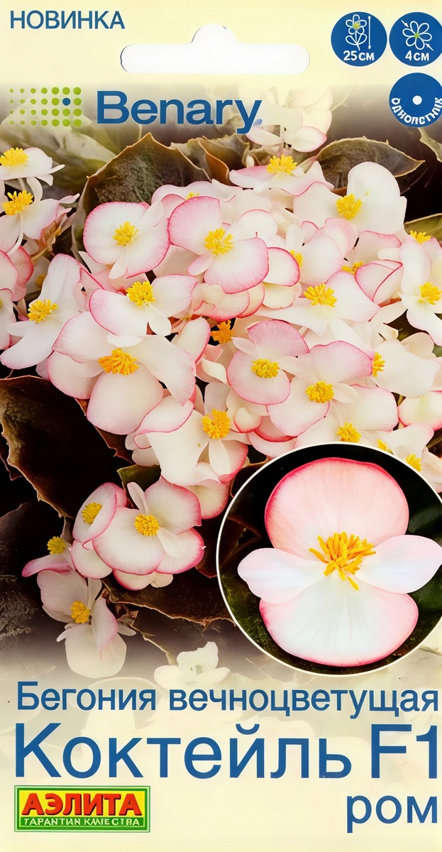 Бегония вечноцветущая Коктейль F1 ром, 7 шт.
