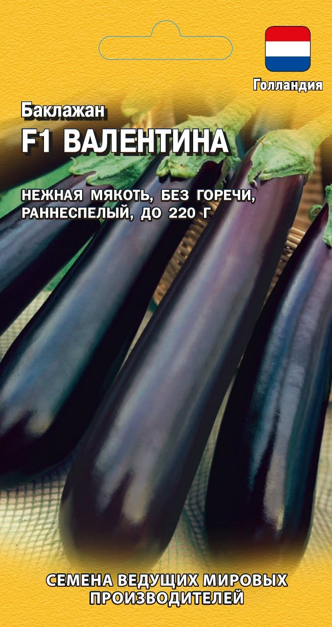 Баклажан F1 Валентина 10 шт. Голландия.