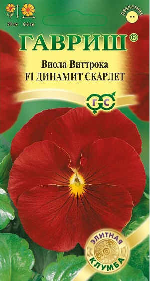 Виола Динамит Скарлет F1, 5 шт. Элитная клумба. 