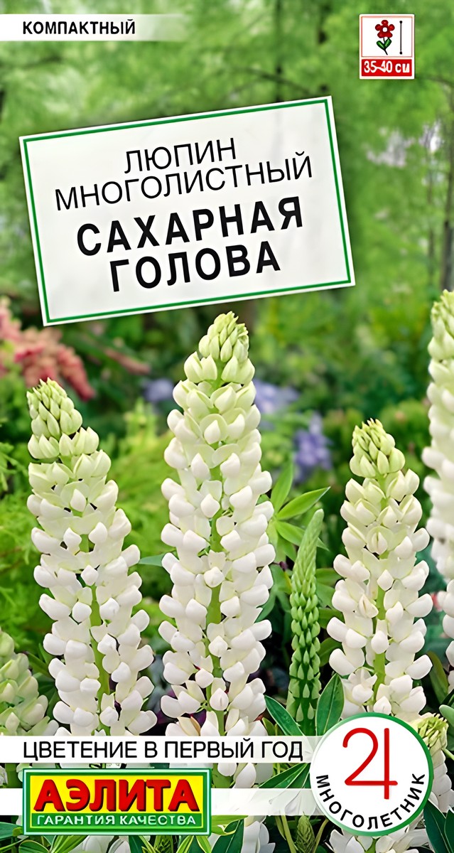 Люпин Сахарная голова, 7 шт.