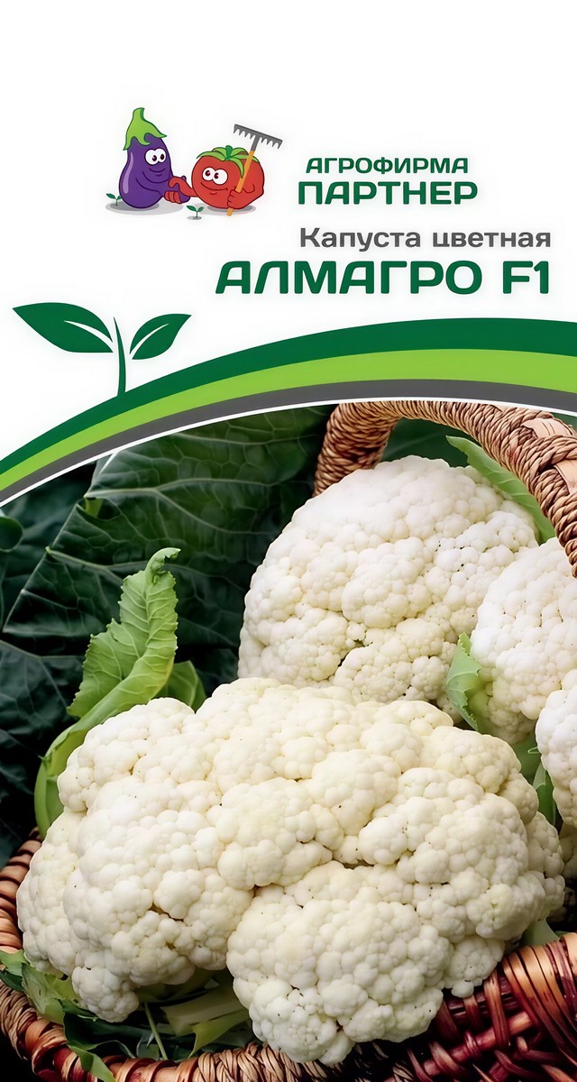 Капуста цветная Алмагро F1, 10 шт. 