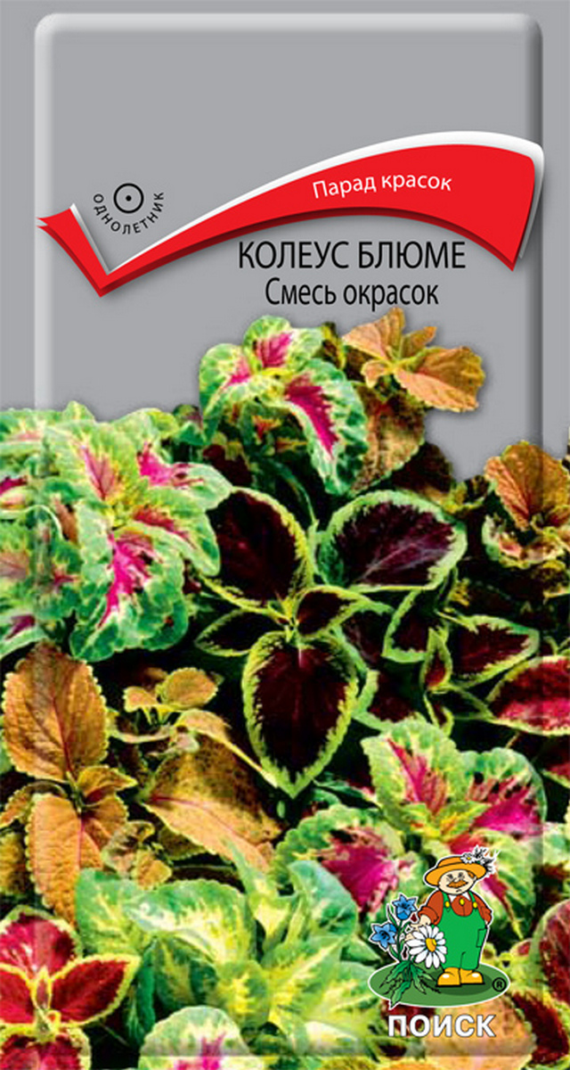 Колеус Блюме Смесь, 0,1 г