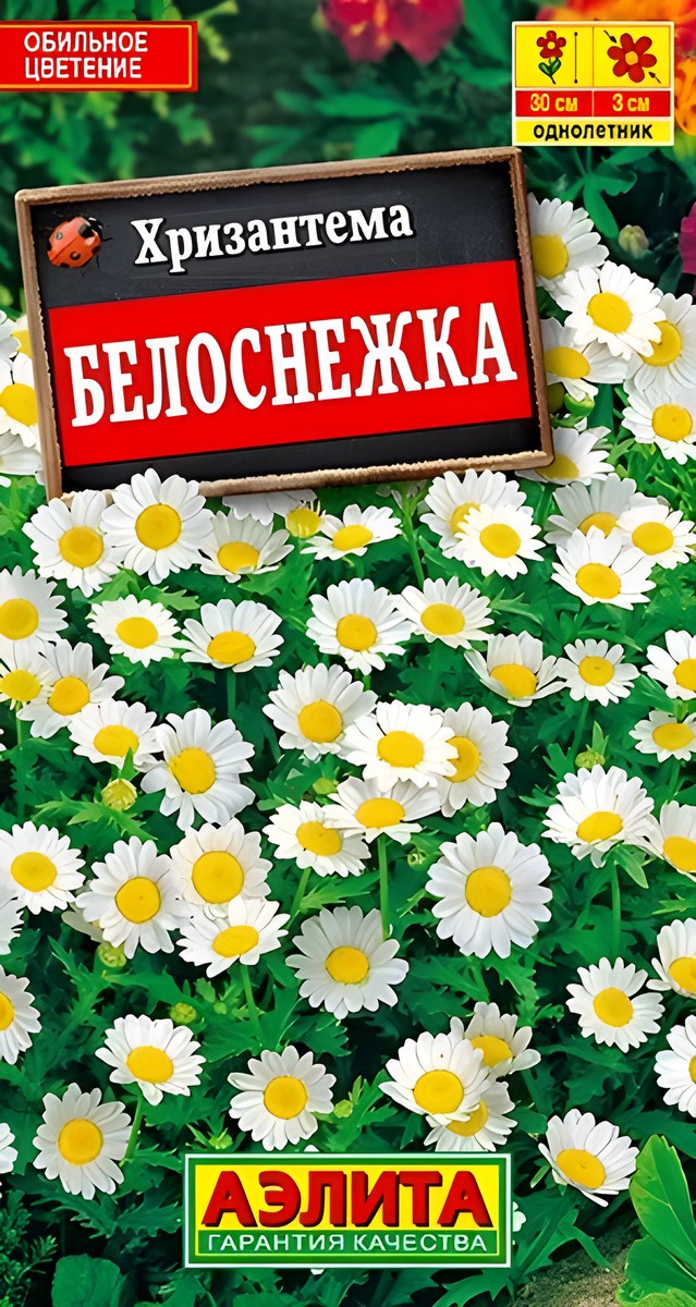 Хризантема Белоснежка, 0,1 г