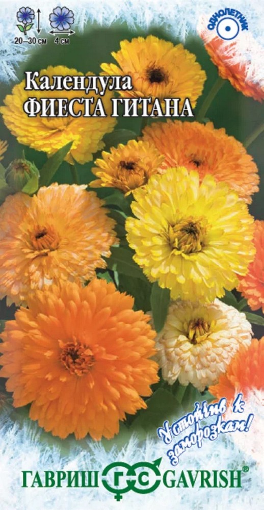 Календула Фиеста гитана, 0,5 г. Устойчив к заморозкам.