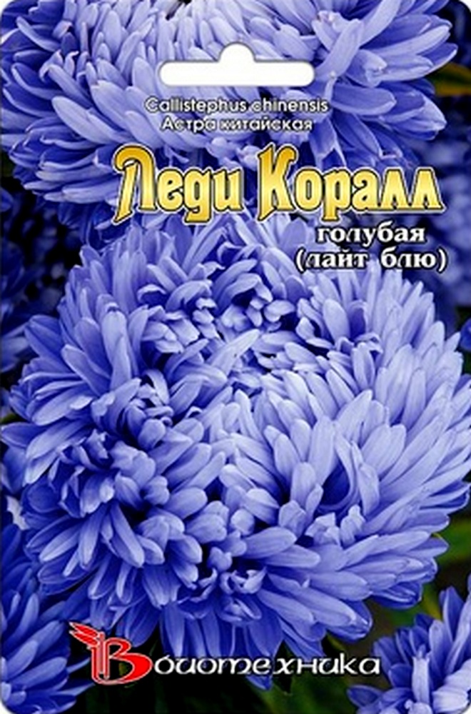 Астра Леди Коралл Лайт Блю, 40 шт. Биотехника