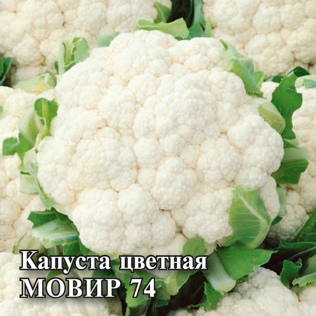 Капуста цветная Мовир 74, 10 г