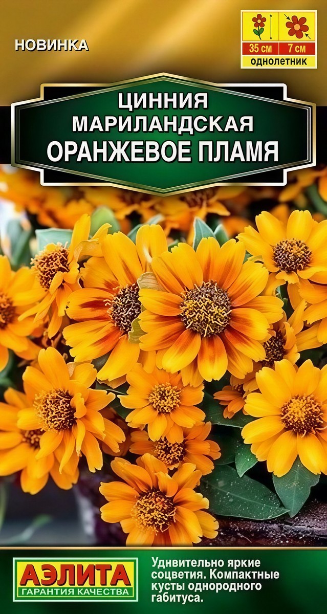 Цинния мариландская Оранжевое пламя, 15 шт.