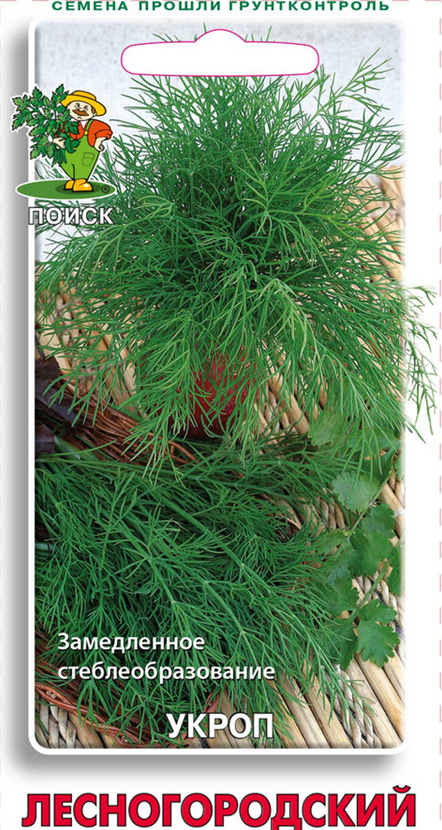 Укроп Лесногородский, 3 г. Поиск.