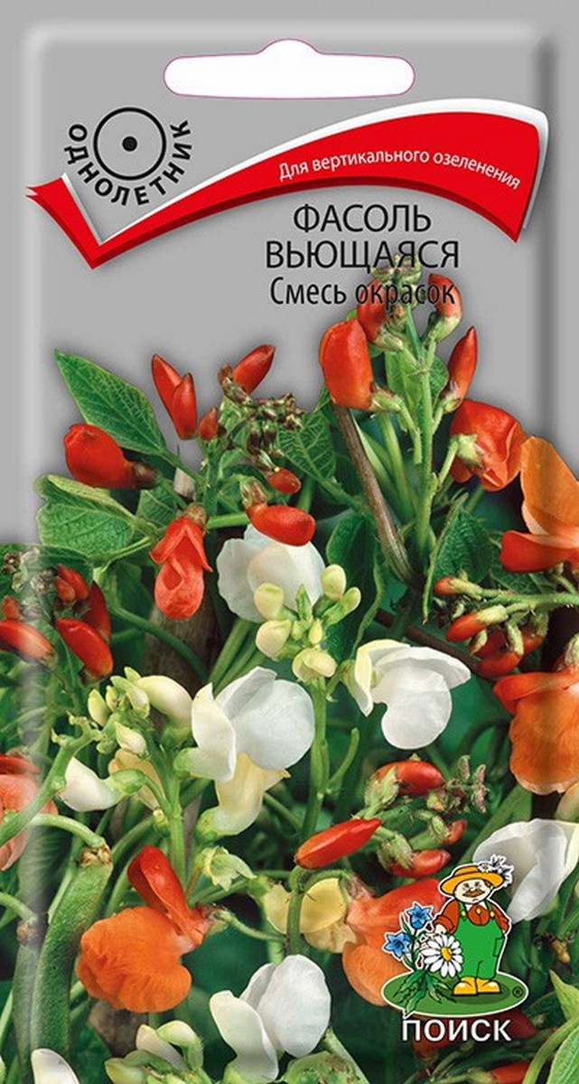 Фасоль Вьющаяся смесь окрасок, 5 шт.