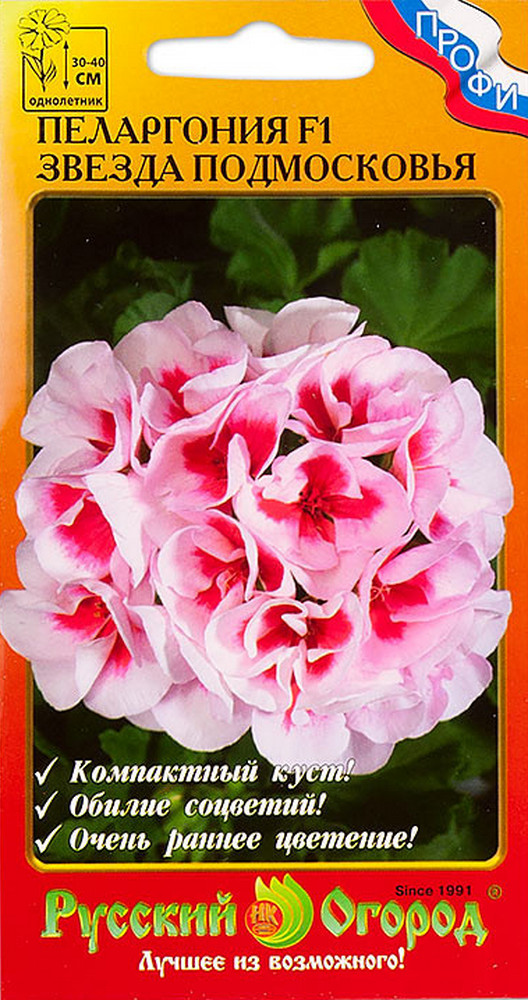 Пеларгония Звезда Подмосковья, 5 шт. Русский огород