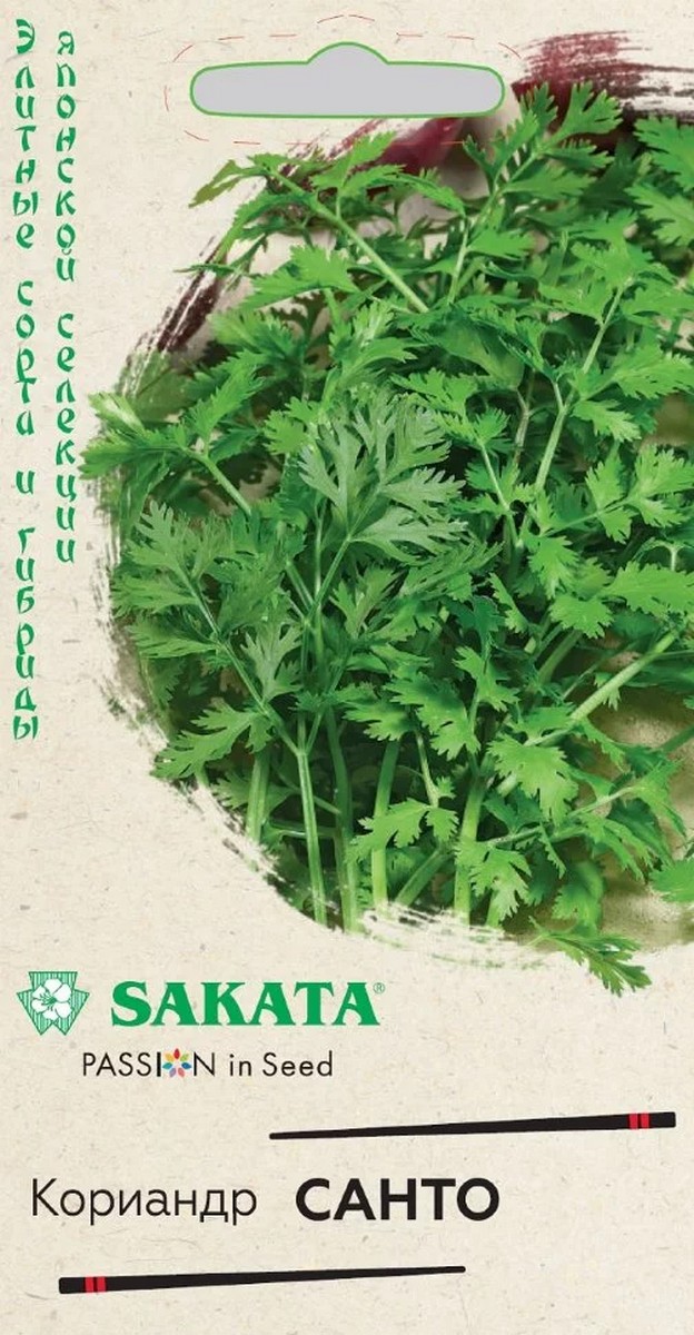Кориандр Санто, 2 г. Саката.