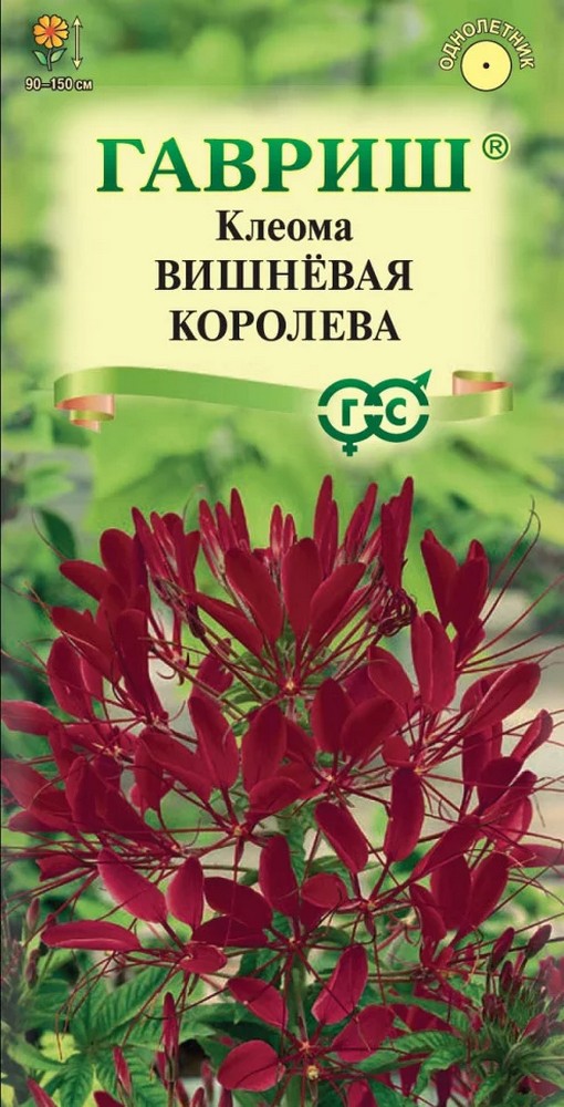 Клеома Вишневая королева, 0,3 г