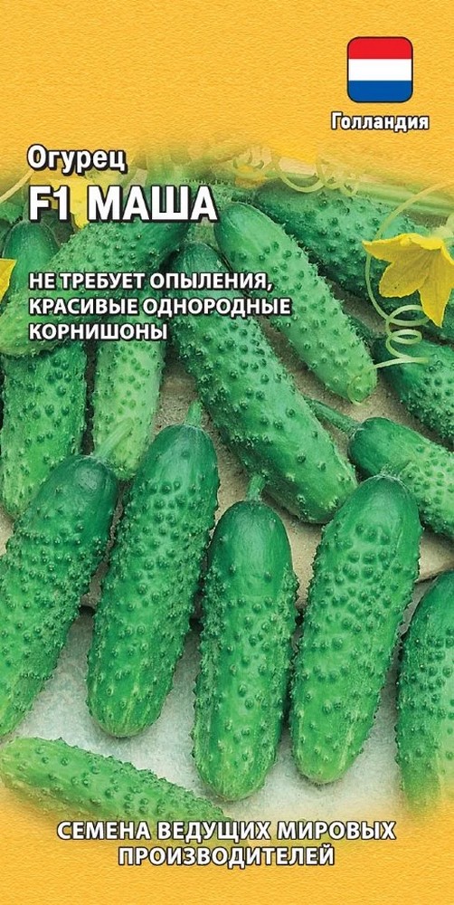 Огурец Маша F1, 5 шт. Голландия.