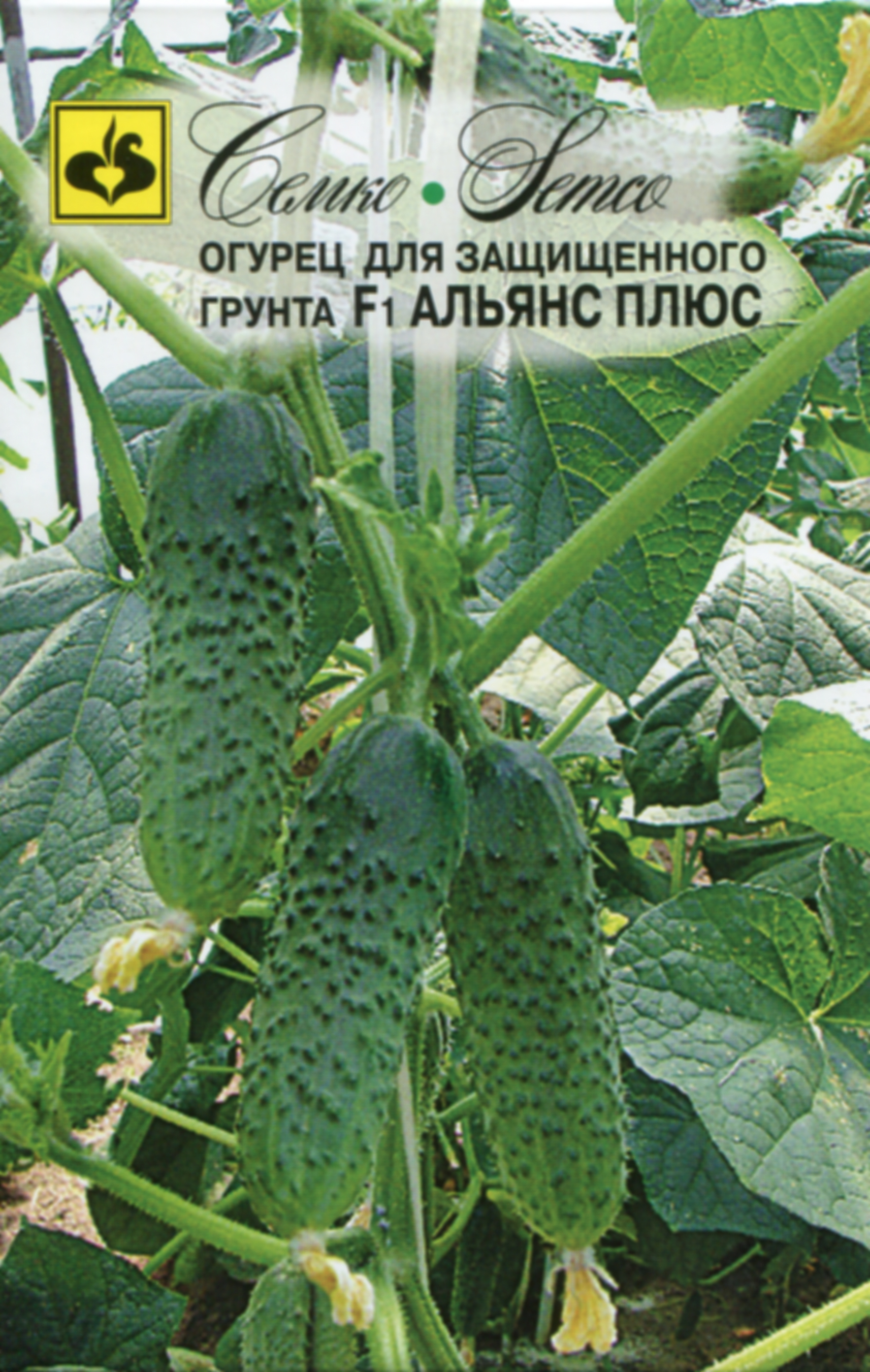 Огурец Альянс Плюс F1, 10 шт.