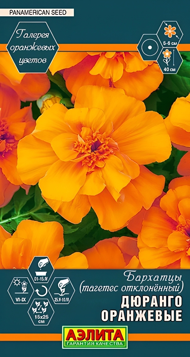 Бархатцы Дюранго, оранжевые, 10 шт.